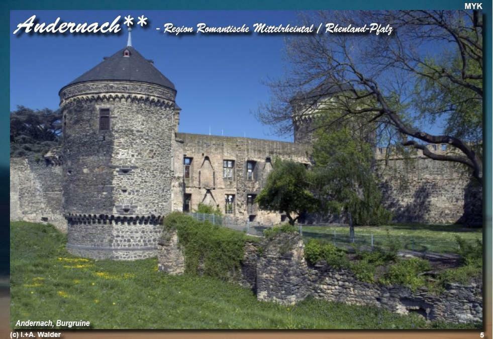 Ferienwohnung " Gecko 2 " Andernach Eksteriør billede